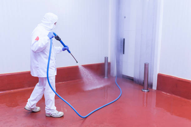 Best Playground Equipment Cleaning  in Brookdale, SC